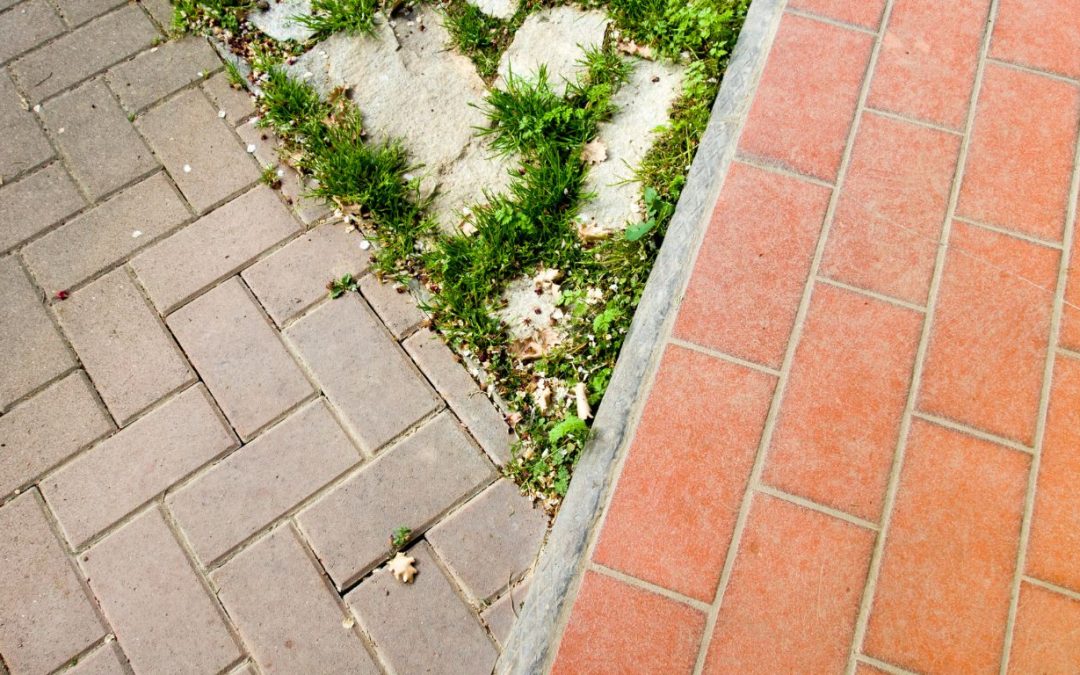 Why Choosing Professional Paver Services Offers Eco-Friendly Benefits